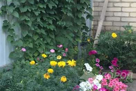 Сдам гостинку, Одесская, 13 больница, Код: 200802/3