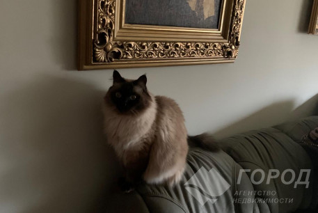 Продам 2-х кімнатну квартиру, Сосновая Горка, Код: 214907/8