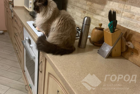 Продам 2-х кімнатну квартиру, Сосновая Горка, Код: 214907/8