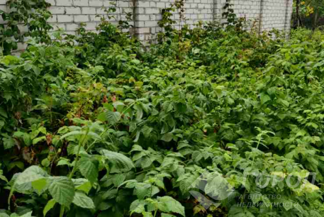 Продам участок, Новые дома, 22 больница, Кегичевская ул., Код: 216737/22