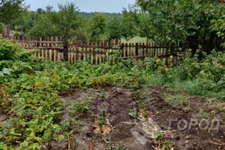 Продам участок, Новые дома, 22 больница, Кегичевская ул., Код: 216737/22