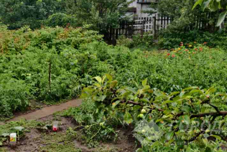 Продам участок, Новые дома, 22 больница, Кегичевская ул., Код: 216737/22