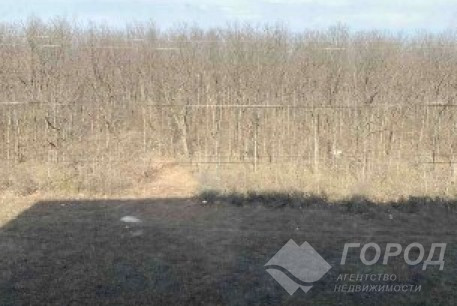 Продам 2-х кімнатну квартиру в новобудові, Алексеевка, Код: 232504/135