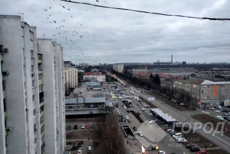 Сдам 1-кімнатну квартиру, Салтовский, Завод им. Малышева метро, Код: 242621/9