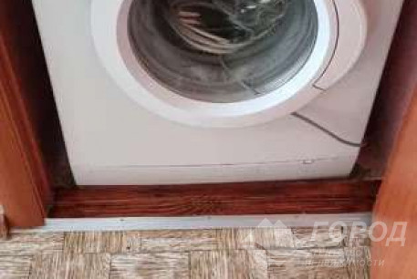 Сдам квартиру, Основа, Код: 288487/6