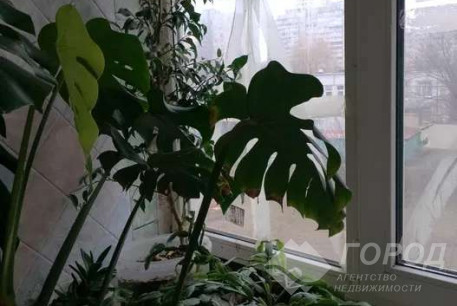 Продам 3-х кімнатну квартиру, Новые дома, Маршала Жукова метро (Дворец спорта), Код: 306901/20