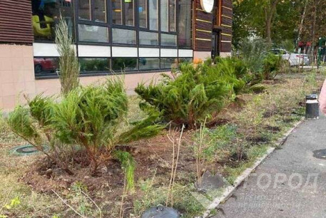 Продам 1-кімнатну квартиру, Алексеевка, Алексеевская метро, Код: 323837/5