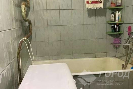 Сдам 2-х кімнатну квартиру, ХТЗ, Код: 398128/3