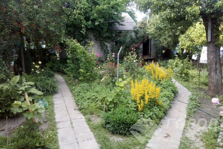 Продам дом, Журавлевка, Киевская метро, Челюскинцев ул., Код: 404301/3