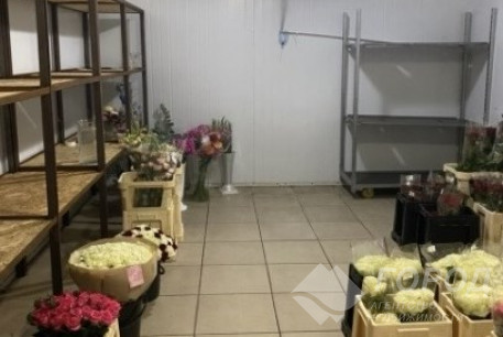 Продам помещение, Гагарина проспект, Сидоренковская ул., Код: 453861/61