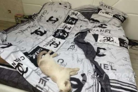 Продам 3-х кімнатну квартиру в новобудові, Центральный рынок, Центральный Рынок метро, Код: 465217/3