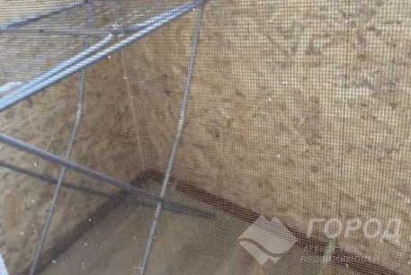 Сдам 1-кімнатну квартиру, Салтовка, Академика Павлова метро, Код: 471294/7