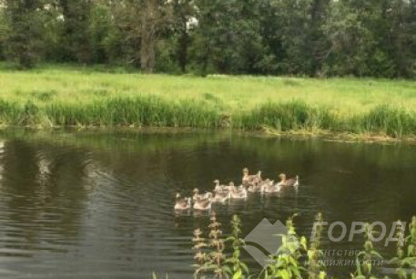 Продам дом, Основа, , Код: 475172/4