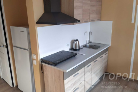 Сдам 1-кімнатну квартиру, Гагарина проспект, Спортивная метро, Код: 478977/3