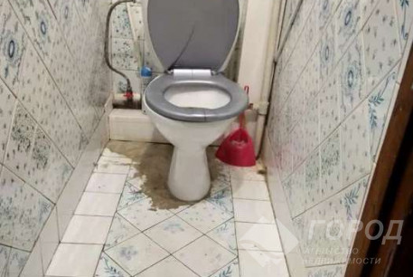 Сдам 3-х кімнатну квартиру, Салтовка, Героев Труда метро, Код: 481704/6