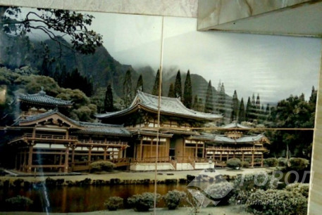 Сдам гостинку, Павлово поле, Ботанический сад метро, Код: 491314/3