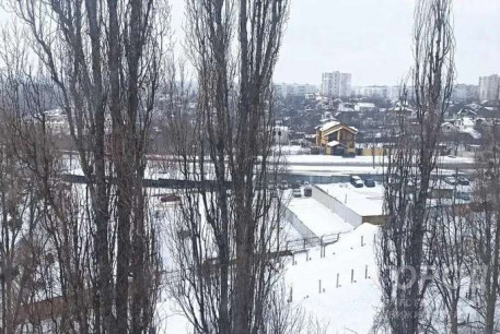 Продам 2-х кімнатну квартиру, Салтовка, 535 м/р, Код: 495131/4