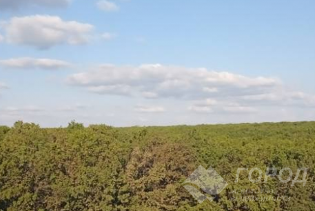 Продам 2-х кімнатну квартиру в новобудові, Алексеевка, Код: 497500/24