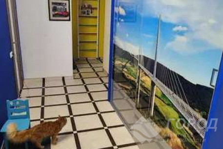 Сдам 3-х кімнатну квартиру, Рогань, Код: 508947/5