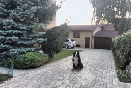 Продам дом, Бавария, Робеспьера ул., Код: 528368/1