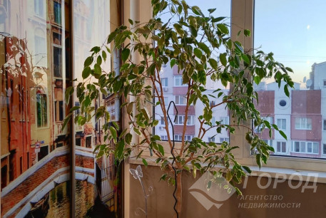 Продам 3-х кімнатну квартиру, Салтовка, 604 м/р, Код: 529590/28