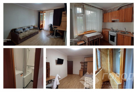 Сдам 1-кімнатну квартиру, Салтовка, Код: 535153/2