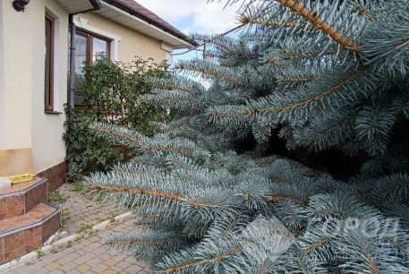 Продам дом, Харьковский р-н, Лизогубовка (Харьковская область), Код: 545305/22