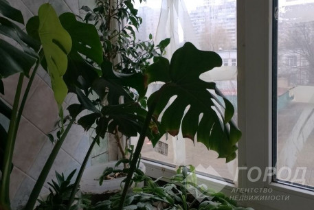 Продам 3-х кімнатну квартиру, Новые дома, Код: 547348/6