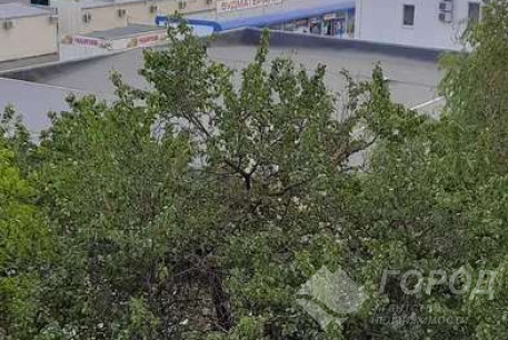 Сдам 1-кімнатну квартиру, Салтовка, ТРК Украина, Код: 622821/2