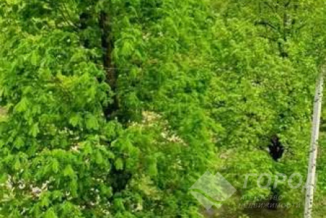 Продам 3-х кімнатну квартиру, Салтовка, Героев Труда метро, Код: 629471/3