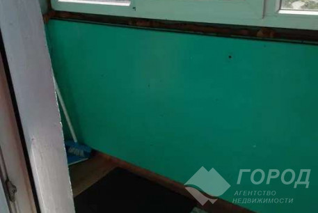 Продам 1-кімнатну малогабаритку, Гагарина проспект, Спортивная метро, Код: 637378/5