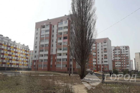 Сдам 1-кімнатну квартиру в новобудові, Салтовка, Академика Павлова метро, Код: 641799/4