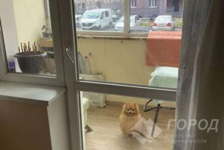 Сдам 1-кімнатну квартиру в новобудові, Новые дома, Код: 642779/6