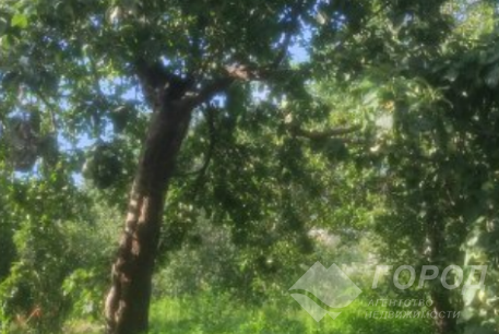 Продам дом, Шишковка, Шосткинская, Код: 645677/19