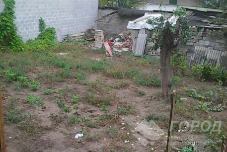 Продам 3-х кімнатну квартиру, Залютино, Код: 645772/2