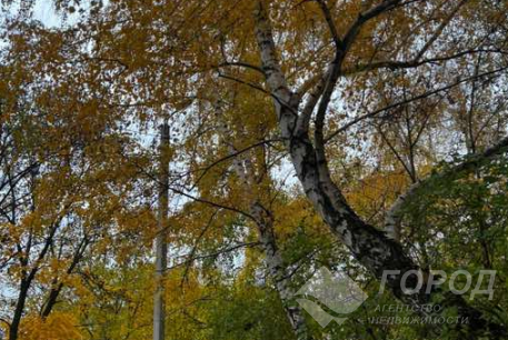 Продам 3-х кімнатну квартиру, Алексеевка, Код: 646735/47