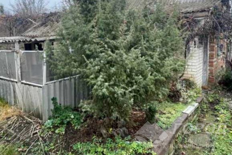 Продам дом, Дергачевский р-н, Ольшаны (Дергачевский р-н), Код: 646809/17