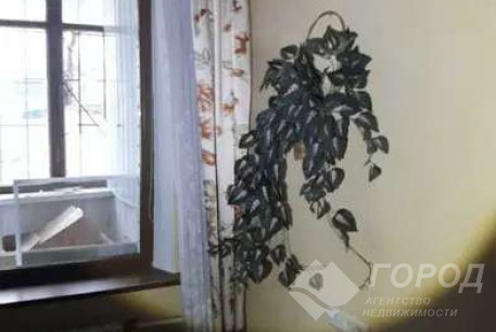 Сдам 1-кімнатну квартиру, Салтовка, Код: 650079/2