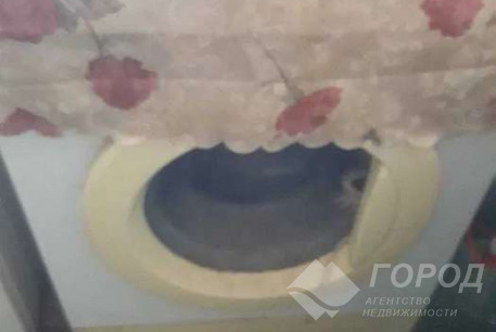 Сдам гостинку, Центр, Код: 650079/4