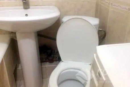 Сдам 1-кімнатну квартиру, Салтовка, 533 м/р, Код: 658942/3