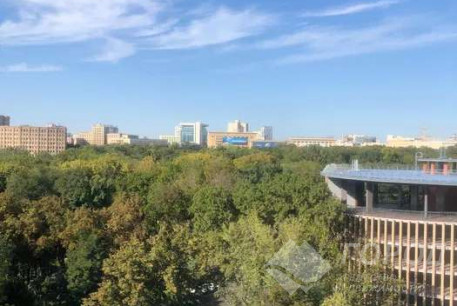 Сдам 1-кімнатну квартиру, Центр, Код: 659947/6