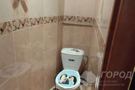 Сдам 2-х кімнатну квартиру, Салтовка, Академика Барабашова метро, Код: 664828/4