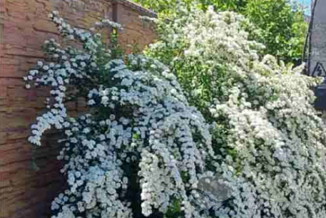 Продам дом, Основа, Штеровская, Код: 665192/16