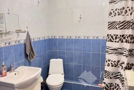 Сдам 1-кімнатну квартиру, Сосновая Горка, Код: 670052/1