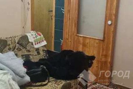 Сдам гостинку, Новые дома, Код: 671579/2