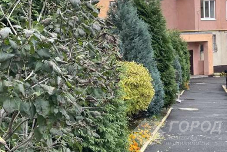 Сдам 3-х кімнатну квартиру в новобудові, Салтовка, Героев Труда метро, Код: 674476/3