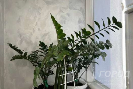 Продам 2-х кімнатну квартиру в новобудові, Старая Салтовка, Код: 678623/2