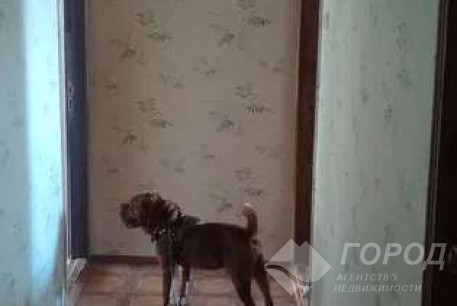 Сдам 3-х кімнатну квартиру, Салтовка, Код: 678908/4