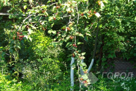 Продам участок, Павлово поле, 23 Августа метро, Науки просп. (Павлово Поле), Код: 679693/2