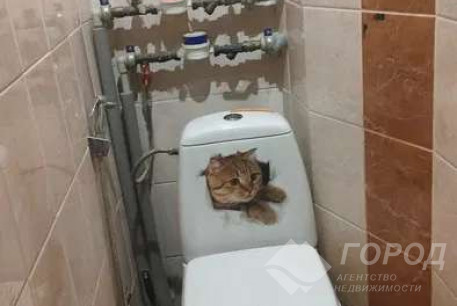 Продам 3-х кімнатну квартиру, Салтовка, Героев Труда метро, Код: 682987/5